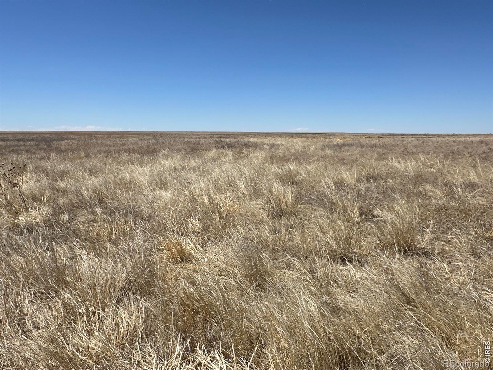 Rocking X Land Company is pleased to offer the NE of Section 21, Township 20 South, Range 51 West in Kiowa County, Colorado. This 152.14 acre tract is enrolled in the Conservation Reserve Program (CRP), providing a dependable annual payment of $2,660.93 through September 30, 2032. The property offers an opportunity to acquire Kiowa County farmland with established CRP income already in place. Whether held as an income-producing land investment or considered for future agricultural use following the CRP contract expiration, this tract provides a straightforward ownership opportunity in eastern Colorado.