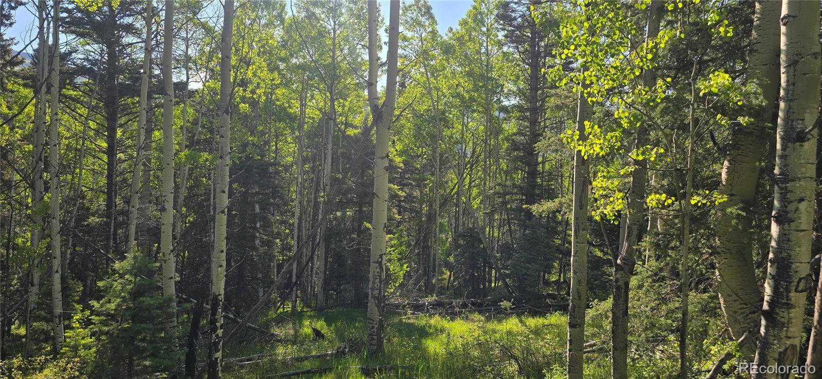 Lot 6385 Jaquez Road