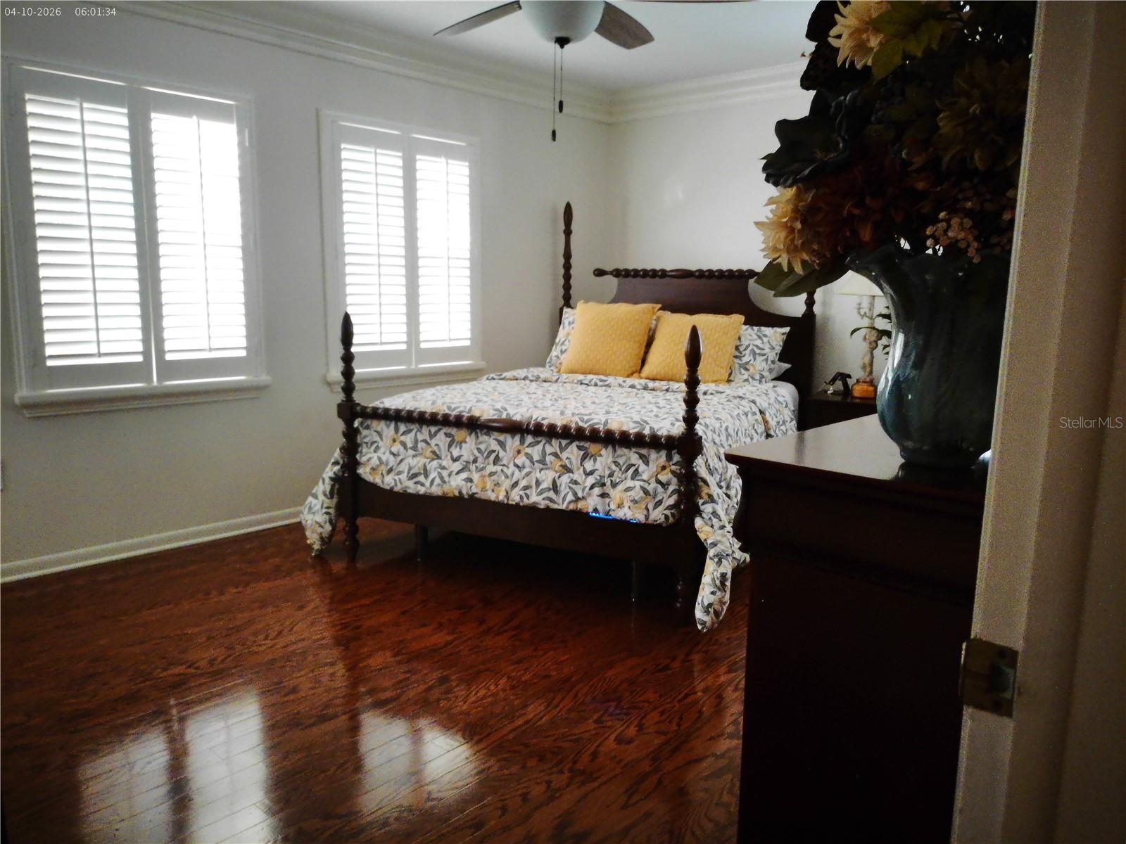 116 Elm Court