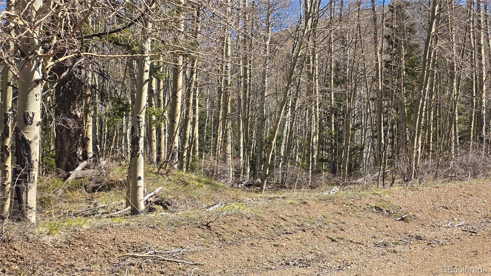 Lot 6708 Debbie Road