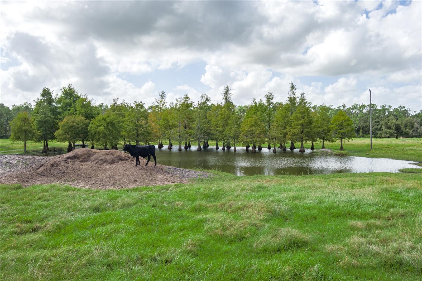 1126 & 1144 County Road 665