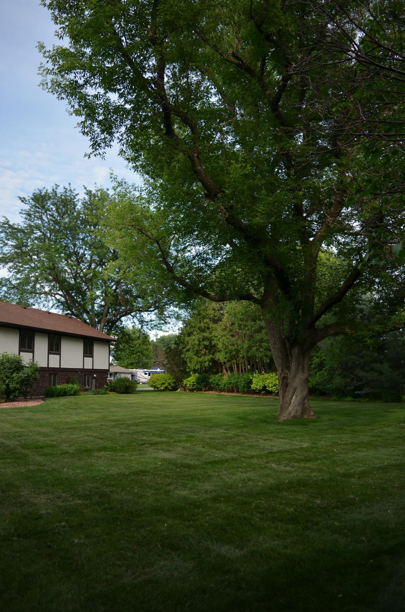4336 Lookout Lane