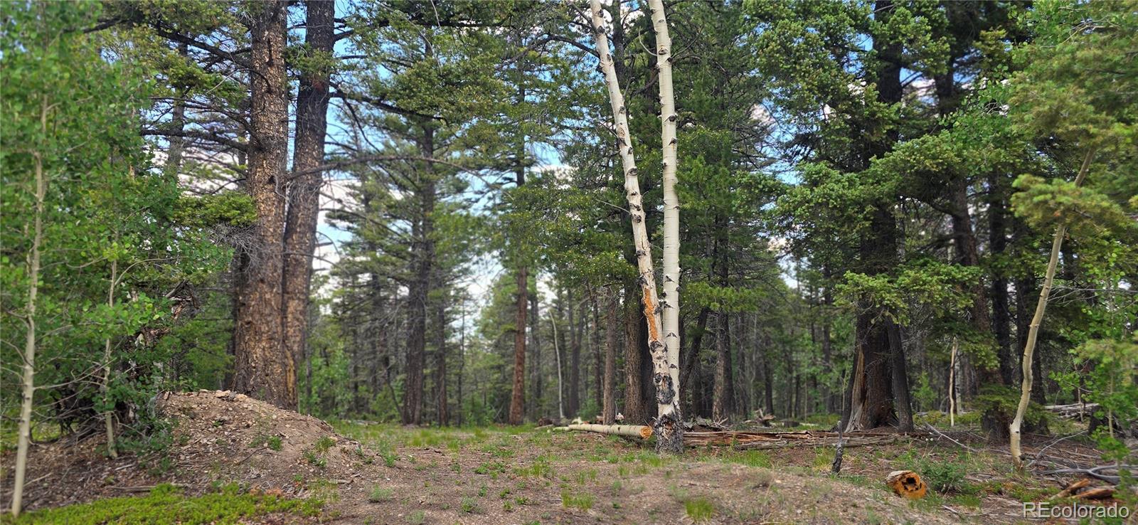 Lot 5778 Balleroy Road