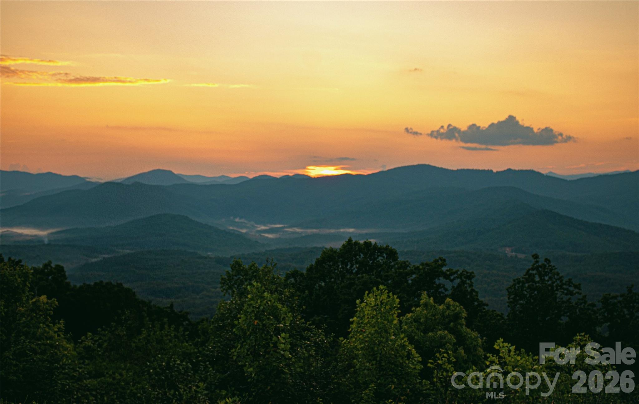 Shoal Ridge is not simply land—it is presence, perspective, and possibility, offered in a form that is increasingly rare! ~ The sheer canvas Mother Nature has shaped here is limited only by imagination.~ Shoal Ridge offers a commanding presence in the foothills of W. North Carolina, where nearly 100± acres unfold into sweeping elevation, layered ridgelines, and long-range mountain scenery that feels both expansive and intimate!!From multiple elevated vantage points, experience approximately 100-mile+/- PANORAMIC MOUNTAIN VIEWS stretching across the Blue Ridge. These vistas evolve throughout the day and season—morning mist settling into the valleys, afternoon light revealing depth and texture, and golden sunsets draping the ridges in warmth. At night, the sky opens wide with stars, offering a sense of stillness rarely found. The scale and dimension of these views are something that must be experienced in person; photography simply CANNOT convey the presence or emotion of standing here.Beyond the views, the land reveals a layer of wonder that few properties can rival!!! A private hiking and mountain biking trail system winds through the lower portions of Shoal Ridge, guiding you to an extraordinary and personal destination: a NATURAL CAVE with crystal-clear teal aquamarine water. This hidden feature transforms the property from exceptional to unforgettable—an experience to be shared with family and guests, or quietly enjoyed in solitude!An additional trail connection leads toward a neighboring property under the same ownership that features a pond above a waterfall overlooking further mountain scenery (offered under a separate MLS), providing optional expansion and continuity for those seeking a larger legacy holding!Shoal Ridge is comprised of approximately five parcels of 19–20± acres each, totaling close to 100 acres. Each tract offers outstanding homesite potential, privacy, and direct access via an established interior road system. Underground power and a shared well are already in place across the Shoal Ridge parcels, making the land not only remarkable in setting, but practical and build-ready. The flexibility is rare—retain the entire acreage as one private mountain estate, or subdivide into individual parcels, each benefiting from heart-stirring views and separation.The terrain invites possibility. Whether your vision includes a signature mountain residence, multiple cabins, a family compound, or a thoughtfully designed retreat concept, the land supports it with scale, elevation, and natural beauty. No restrictions (*per county, verify your desires for the land) and no HOA, creativity is preserved alongside privacy. More adventurous concepts—such as enhanced trail systems or aviation access via heli-pad potential or landing a small aircraft —may also be explored, subject to buyer's DD and wishes!While Shoal Ridge feels deeply secluded, it remains conveniently positioned. Freedom with no HOA uses easement through NFM, just a short drive to Hendersonville, Lake Lure, Chimney Rock, and Asheville. Regional + international travel is accessible via Greenville/Spartanburg (GSP), Asheville (AVL), + Charlotte Douglas (CLT) airports, while shopping, dining, and daily essentials are all within reach.