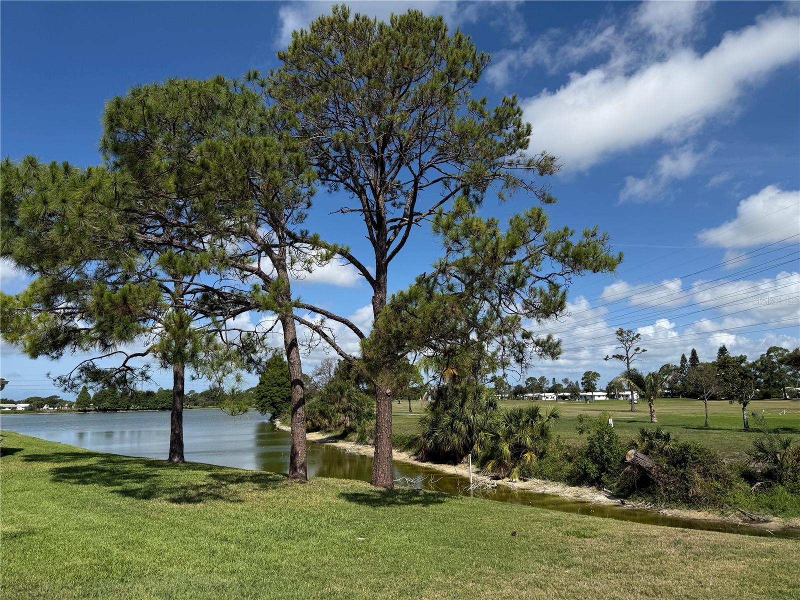 Under contract-accepting backup offers. Virtually Staged. Location, Location, Location! Discover this 3/2/2 located near the number 5 Tee box with breath taking Western views. Watch those beautiful Florida sunsets from the comfort of your home! A rare find, it's been in the Family for over 31 years! Third bedroom could be a great space for a home office, Gym, or a craft room. Windows have solar film for energy efficiency. Plantation shutter blinds, New Water heater. Nestled in a vibrant, amenity-rich community, you'll enjoy easy access to Mainlands Sparkling Community Heated Pool and Clubhouse, Mainlands Golf Course, Freedom Lake Park that offers: Dog Park with large, fenced exercise space separated for large and small dogs, hydrants, watering holes, and plenty of shade for your pets, covered outside fitness stations, fishing, grilling, picnic tables, pavilions, new playground, walking track and the Korean War Memorial. This home's ideal location puts you close to all the best that the area has to offer - from world-class Gulf Beaches, Sam’s Club, Coffee Shops, Fitness Centers, shopping, dining, Helen Howarth Park, Equestrian Trail, Dog Park, and Forbes recreation area, I-275, St. Pete/Clearwater and Tampa International Airports. Whether you're an adventure-seeker or simply seeking a peaceful oasis, this home offers the perfect setting to elevate your Florida lifestyle. Don’t miss out on this incredible opportunity to own a charming home in a prime location!