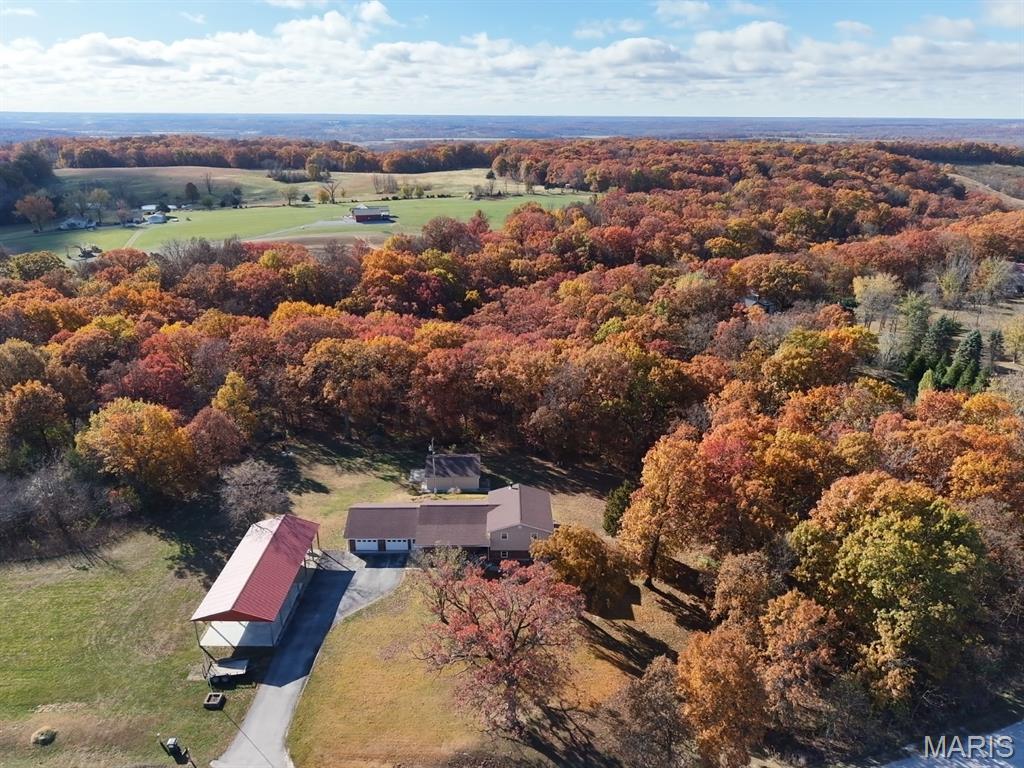Bird's eye view of a forest