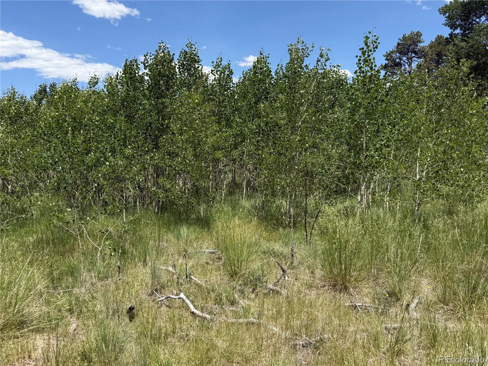 Lot 1103 Emery Loop