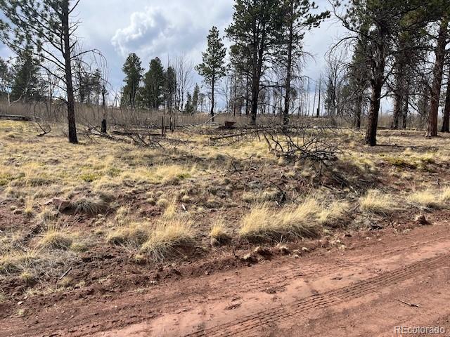 Lot 686 Cogbill Drive