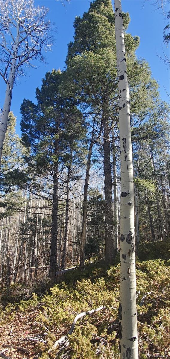 Lot 6060 Forbes Road