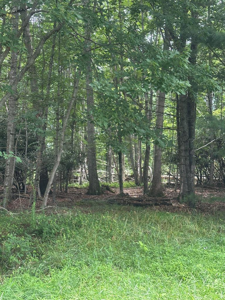 This 5 ac parcel lies in a great location close to Galax, Independence, and Fries.  Also, just a short drive to New River public access.  It's hard to find 5 level acres with no known restrictions!  Nice views in the distance with some tree removal. This is a beautiful lot with tons of potential. Come check it out.