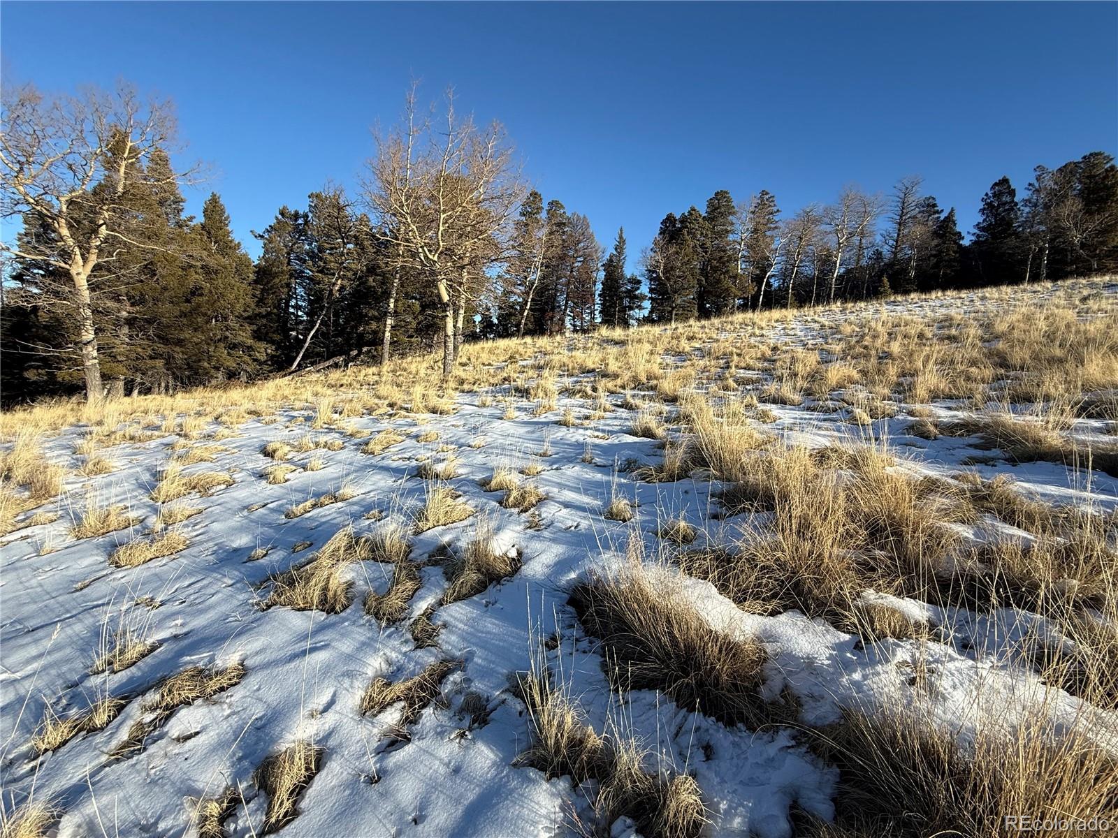 Lot 499 Collinson Drive