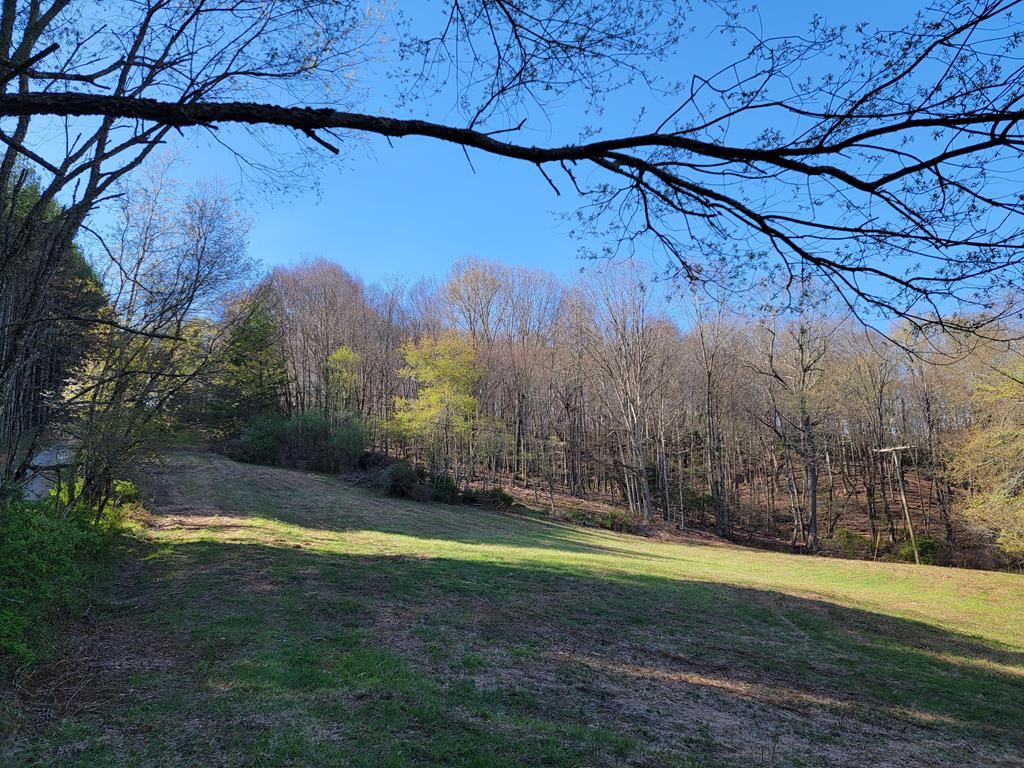 TBD Wilson Hwy in Independence, VA Land property for sale