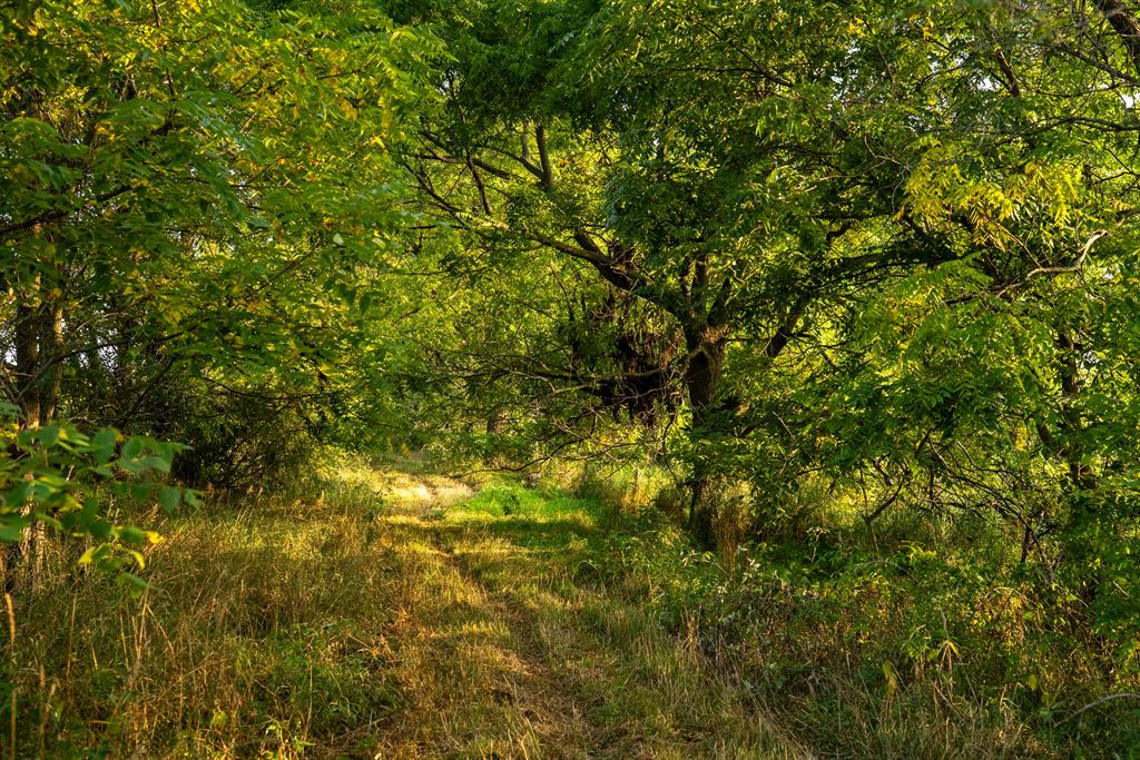 The Stonegate Acreage -130 Acres of Productivity, Recreation, and Trophy HuntingWelcome to a rare opportunity to own 130 acres of versatile, income-producing, and recreational land in one of the most sought-after areas for farming and hunting. This estate combines the best of both worlds: over 70 acres of high-yield tillable ground paired with 50+ acres of timber, wildlife habitat, ponds, and trails that provide unmatched hunting and year-round enjoyment. Whether you are an investor, a farmer, a hunter, or someone seeking a legacy property to pass down for generations, this land offers a remarkable balance of productivity, beauty, and adventure. Current use is Agricultural,Farm,Hunting,Recreational.
