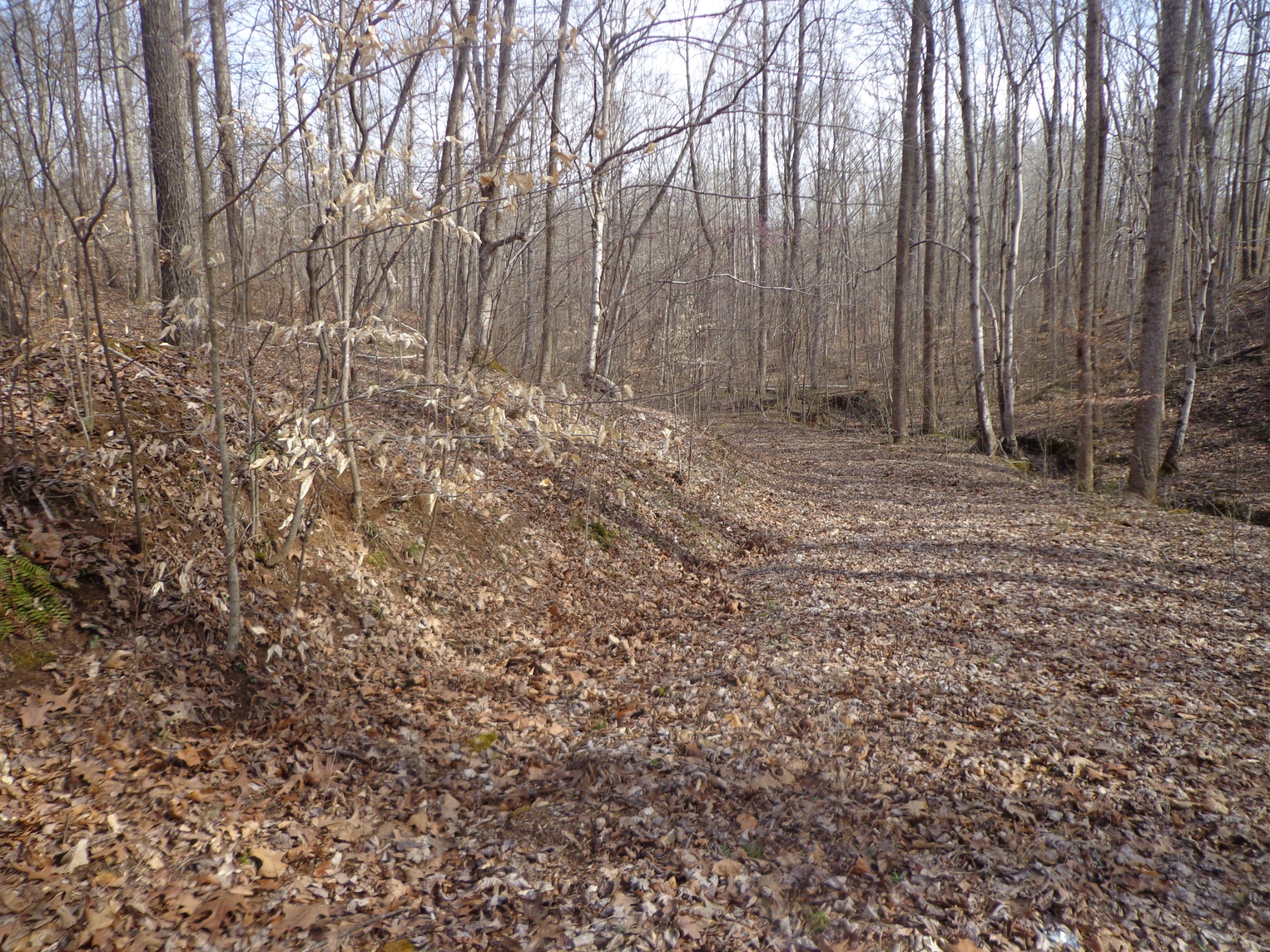 0 Ennis Branch Road