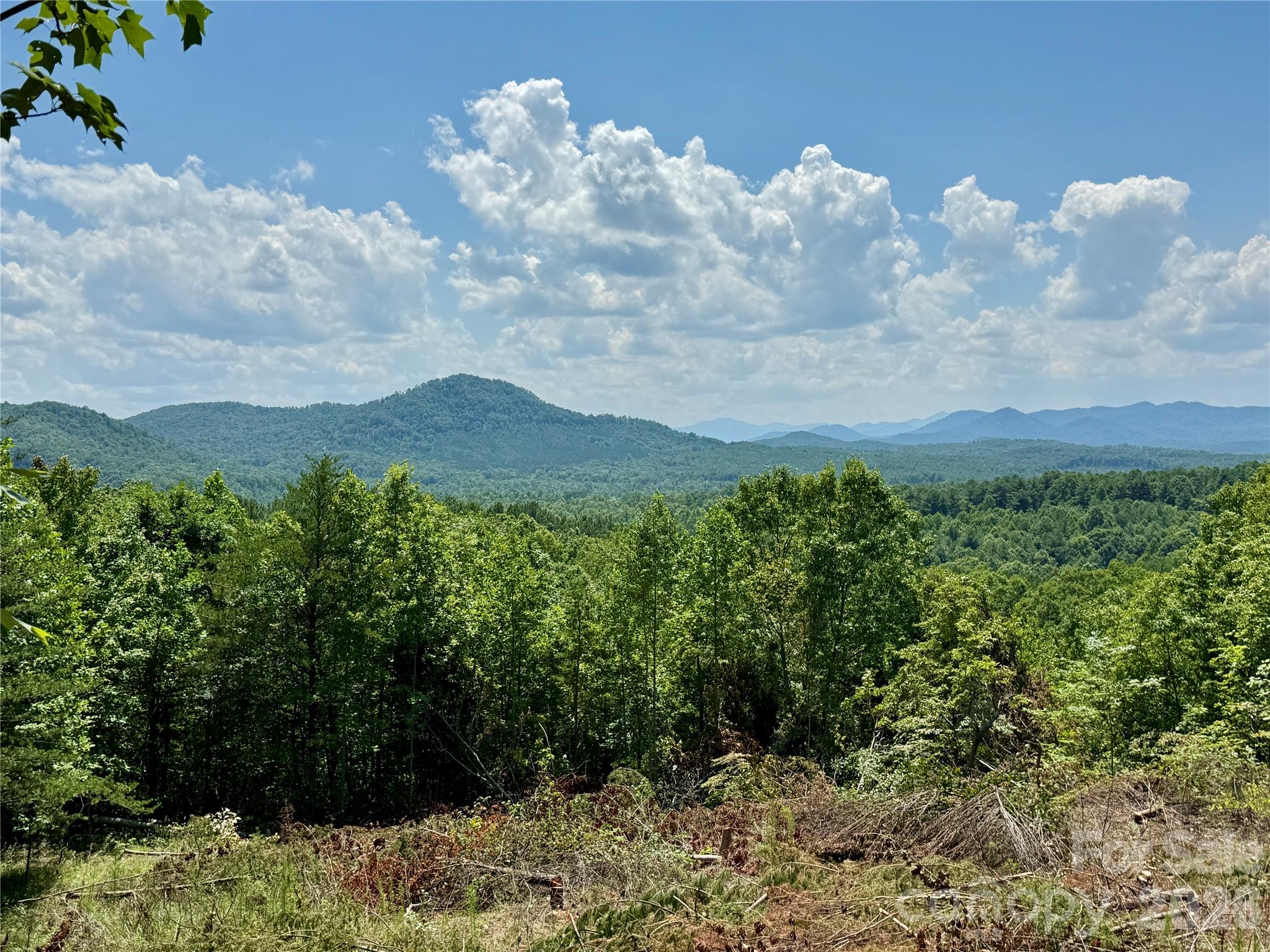 V/L Summit Trail 82
