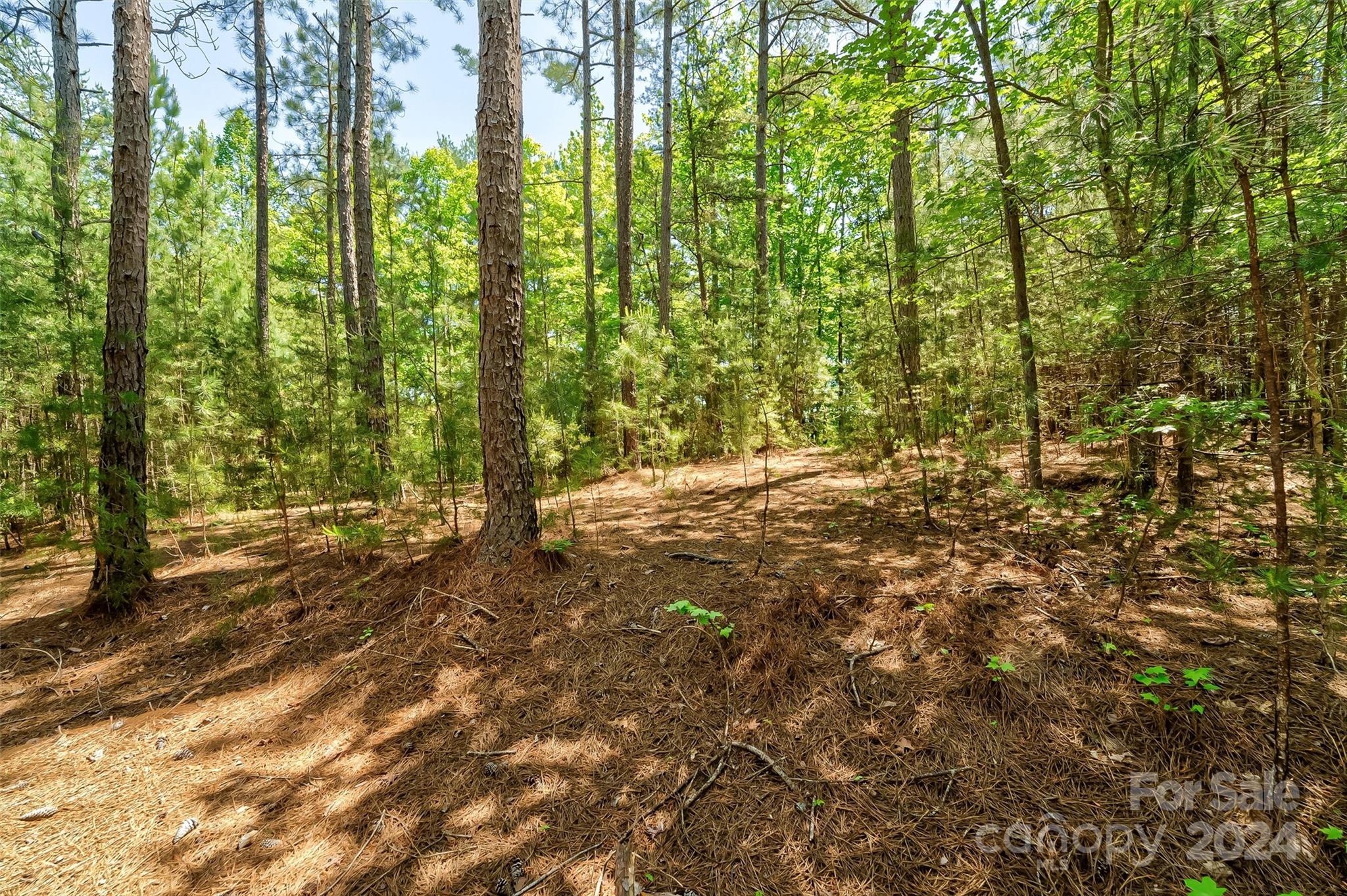 1179 Whispering Woods Drive 34