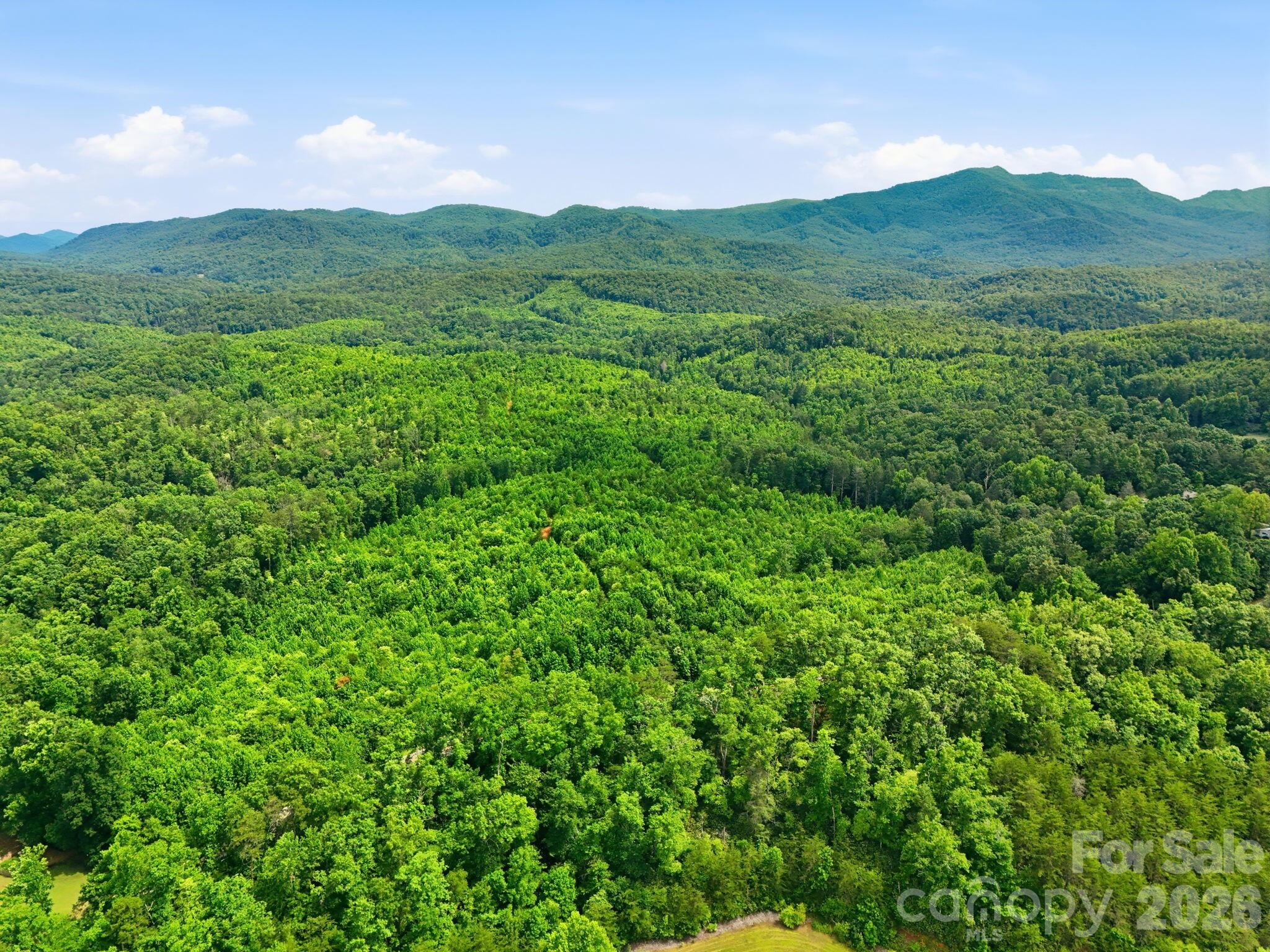 Discover this exceptional collection of four contiguous or nearby parcels (067900376840, 067900360255, 067900466203, and 067900556722) in the scenic Blue Ridge Mountains of McDowell County. These properties provide a rare chance to own multiple acres of private, versatile land in a desirable rural setting just outside Old Fort.163.63 acres (4 adjoining parcels) conveniently beginning at 2301 Parker Padgett Road in Old Fort, NC.  Only 2.2 miles from I-40 makes it a great location.  Have it all - mountain views, sprawling woods, wildlife, and over 2000 ft of large river frontage.  Several dirt roads throughout make it easier to design and develop.  Endless opportunities - multiple homesites, epic family compound, endless recreation and wildlife, or subdivide if you wish using 700-1200 ft of road frontage.  Be close enough to up-and-coming Old Fort's downtown while ensuring peace and privacy with these large tracts.Seller may subdivide where appropriate.