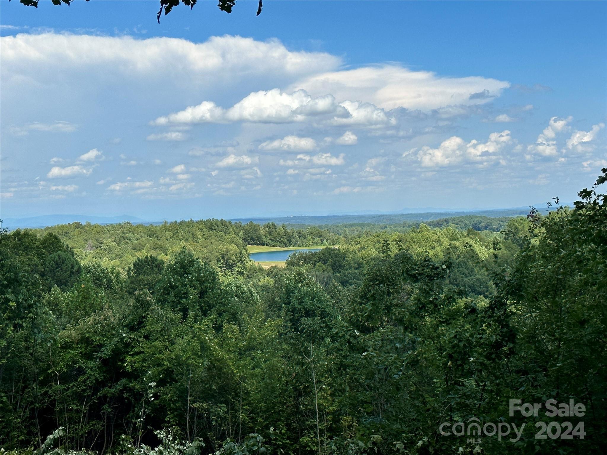 65 Serene Trail 461