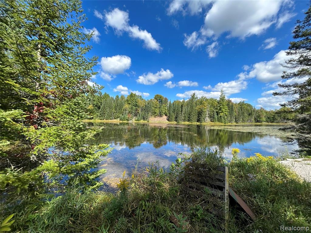 17.5 Acres on a private lake and over 1000 ft. of frontage. This is like a "Dream Location" for your retirement mansion or just lots of privacy from any neighbors, they're not close enough to see you, but still close enough to party with them. Beautifully treed and space for one big home or multiple homes if that's your desire. Great walking paths, hunting, fishing, or trails to be conquered on your own. You won't find something like this around for this price. Tempting ?
