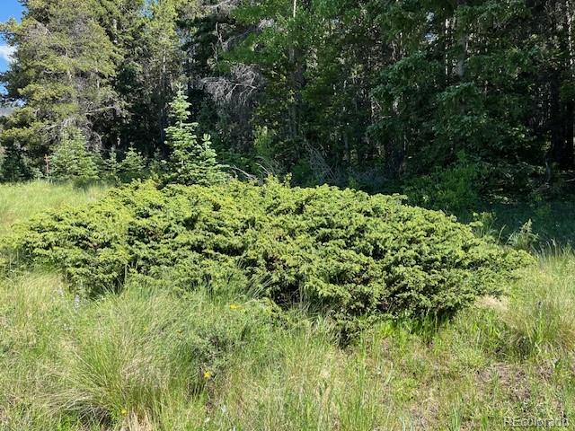 Lot 2893 Coder Place
