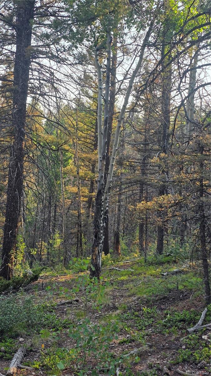 Lot 5768 Clawson Road
