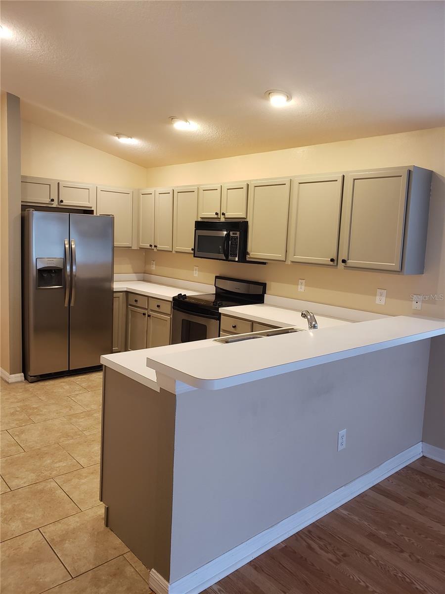 31316 Triborough Drive