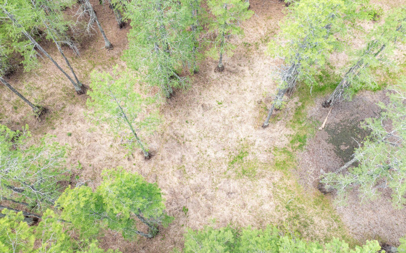 1285 SE Koon Lake Rd