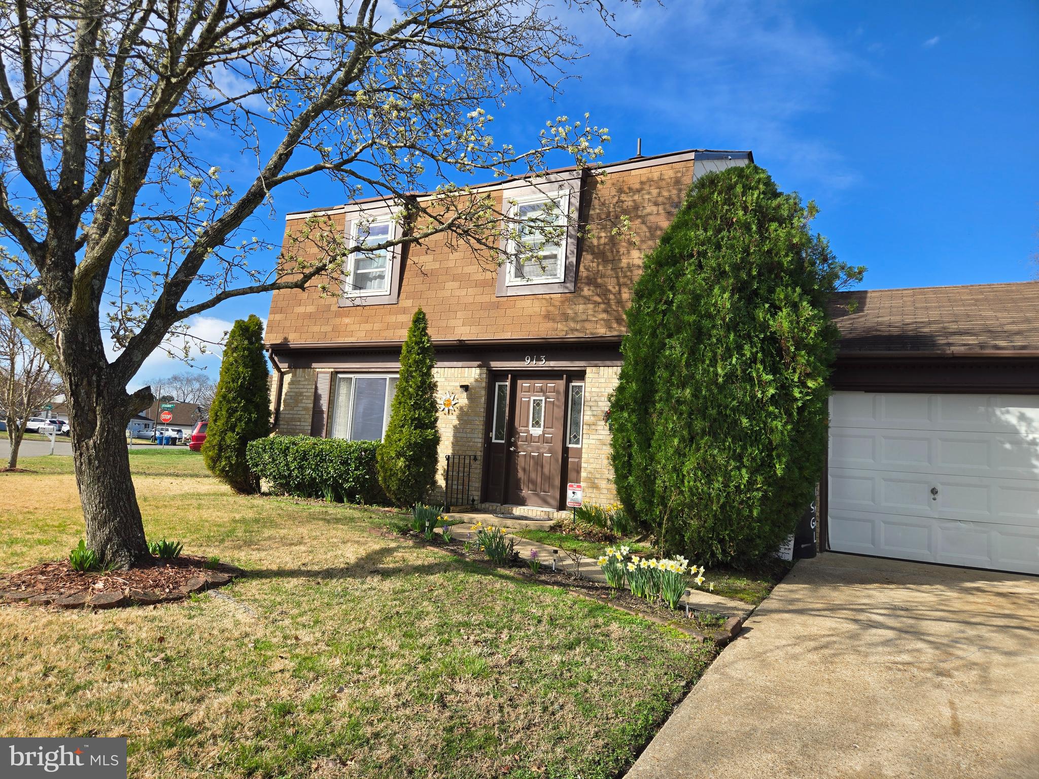 913 Spring Garden Lane