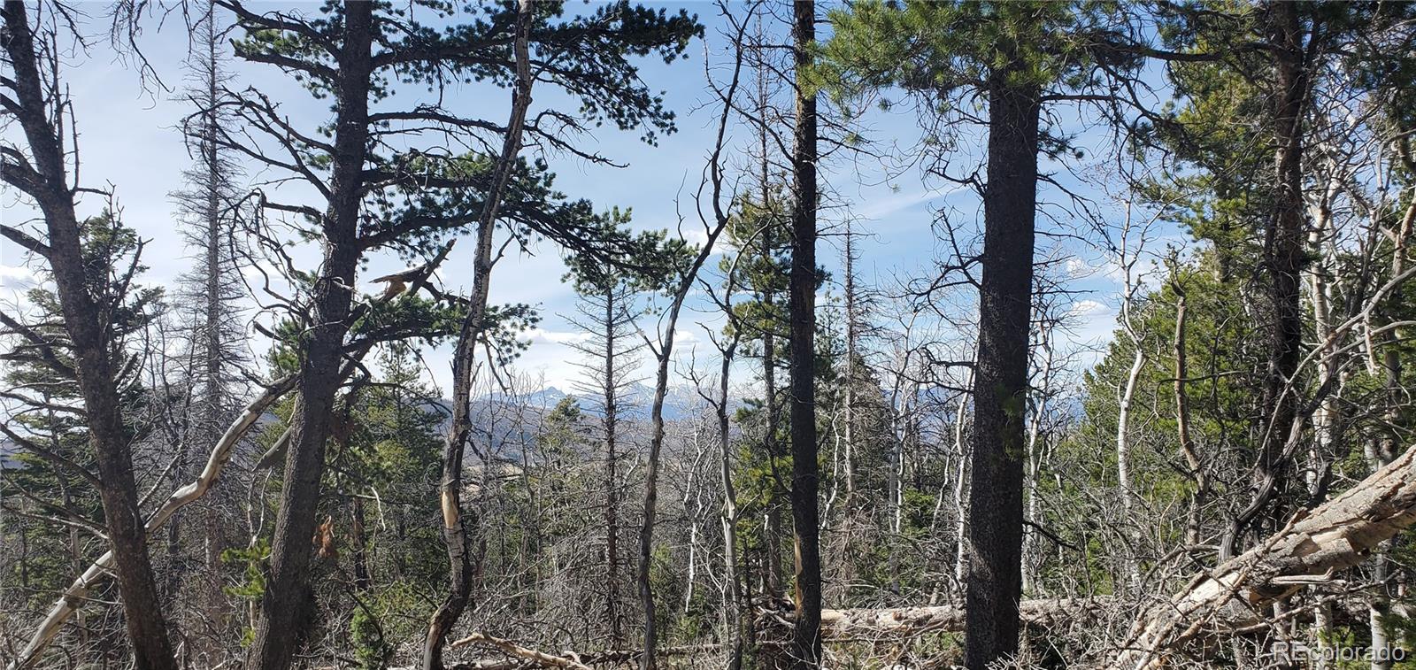 Lot 2560 Grojean Drive