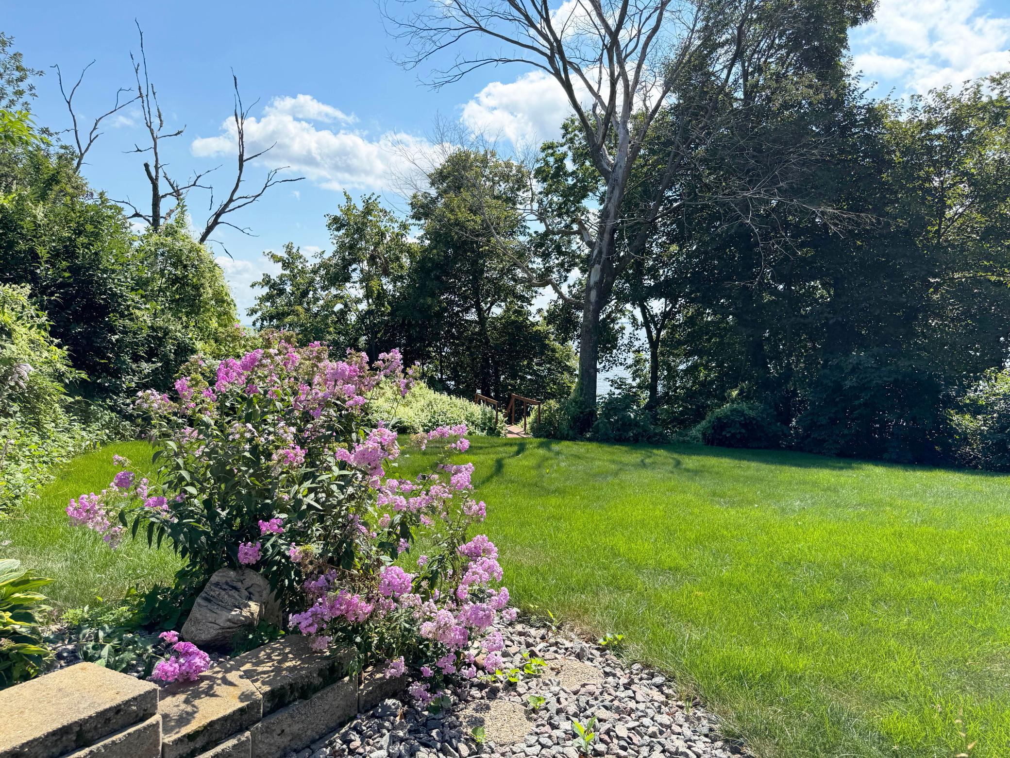 44205 Conifer Street