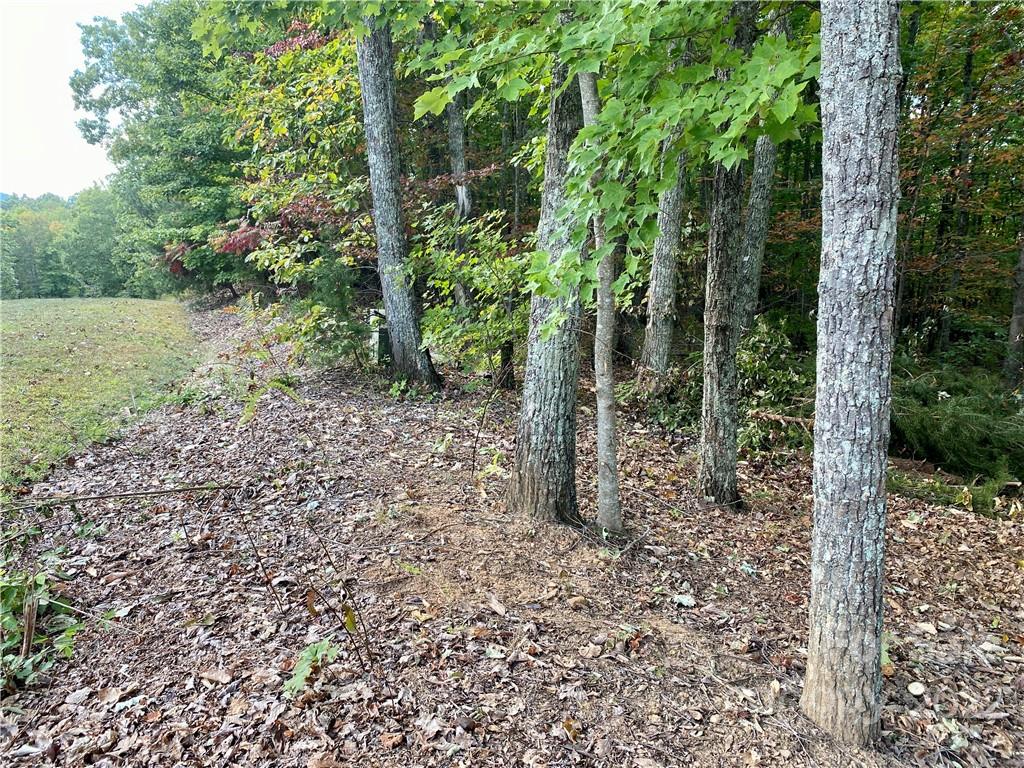 207 Mossy Oak Trail 166 & 167