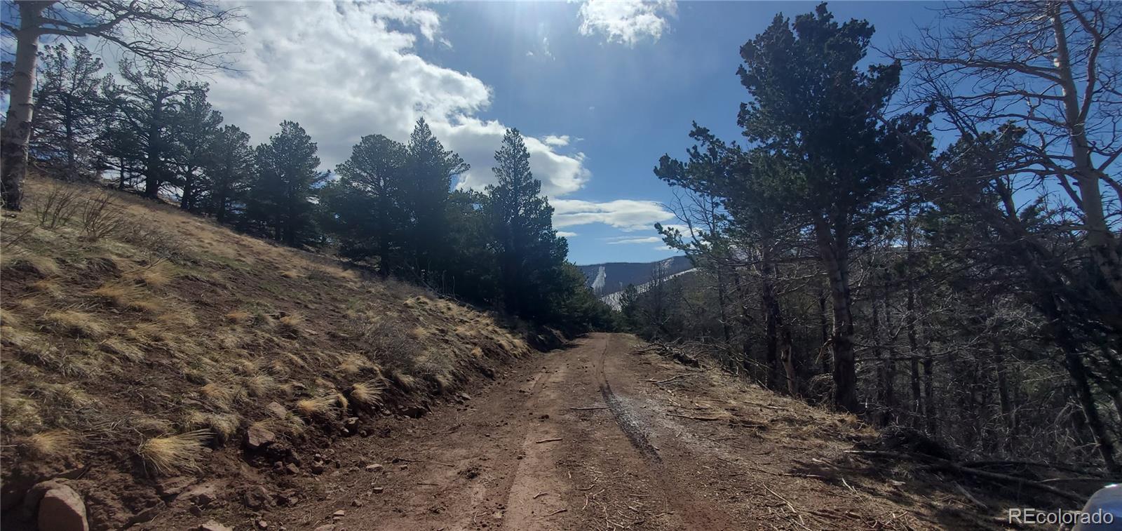 Lot 2740 Newman Place