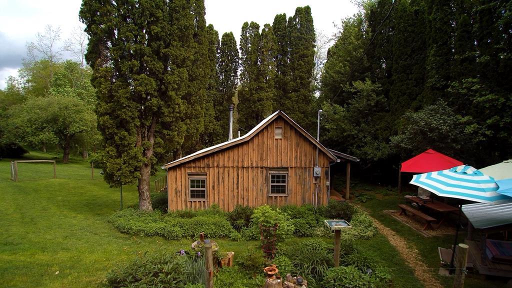 Blue Ridge Mountain Mini Farm. Set yourself free on idyllic, well-cared for, very private 23 (+-) acres with 2 tiny cabins, barn, 12‘x20' storage building, heirloom apple trees, blueberries, asparagus, wild wineberries, peonies, iris,, ample wildlife, woods, pasture and much more. Create what brings you joy. Storage building easily converted to studio, shop, etc. Great Vacation Rental Potential. Near New River, The Crooked Road, Blue Ridge Parkway. Easy drive to Independence/ Galax/ Wytheville/Sparta, NC. Multiple farmer's markets; fiddler's and bluegrass venues abound. Recent improvements are: Improvements to cabin Oct. 2018: new Toyostove Laser 530 (kerosene fueled) Jan 2026: new electric range. Improvements to/around Tiny House: 2021: Upgrade 200 amp electrical service (underground install) 2022: new septic field lines & tank 2023: new pressure tank in well box 2025: new Lennox mini-split.