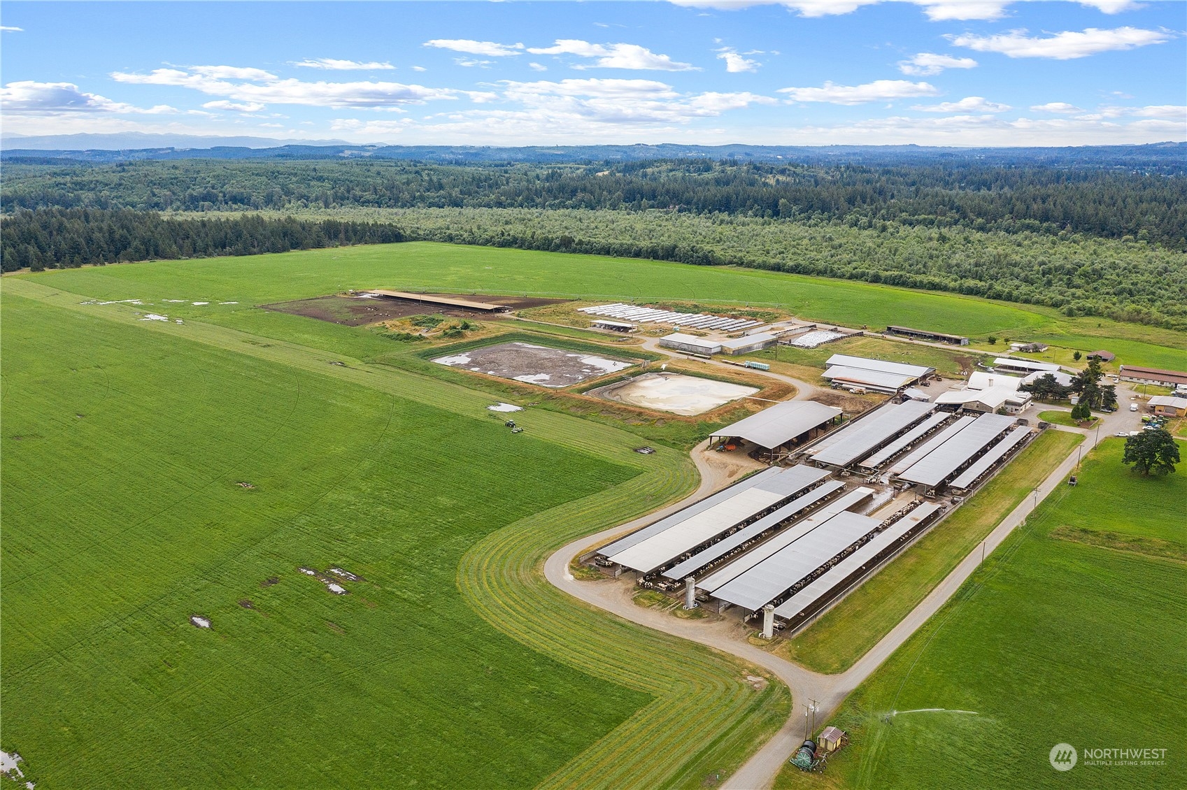 Rare opportunity to own a fully operational, turn-key dairy with management, livestock, equipment & milk contract; currently milking 1500-head with 200 additional dry cows. This is a genomic tested and bred herd for high production (90-95lb daily avg) currently being shipped to Safeway with 750 heifers onsite and an additional 800 being raised in Eastern Washington. Features: 2 irrigation wells with 654 ac/ft water rights, 4 CA-style loafing/free stall barns with lockups, 5 calf barns and dry cow facilities, 3 silage pits, a 15-bay commodity shed, 1 dbl 24 parallel and dbl 12 parallel barn for hospital/string pen. There are 2 one-level homes located on the property that have been well-maintained and offer beautiful sweeping pasture views.