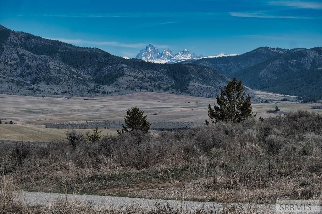 TBD Wagon Road