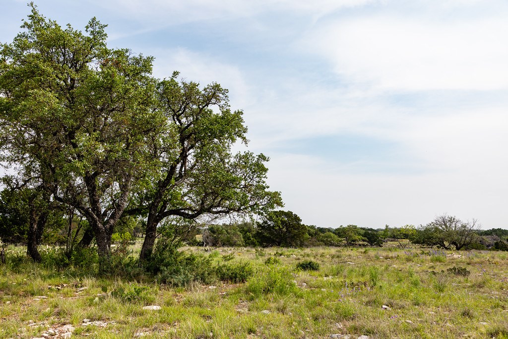 101 NE Big Draw Drive