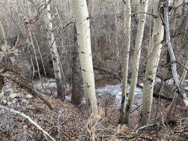 Lot 2242 Slegers Road