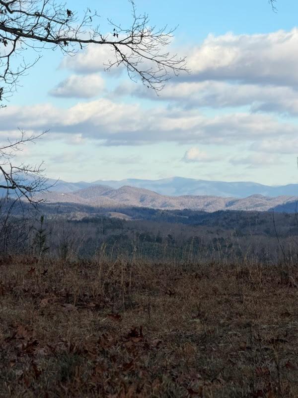 Imagine waking up to panoramic mountain views that inspire deeper breaths and bigger plans; this 1.12 acre parcel gives you that daily gift just minutes from downtown. With easy paved road access, a blend of level and gently sloped terrain, and richly wooded hardwoods, this site invites your dream home to sit above the rest and capture extraordinary views. Whether your vision is a modern retreat with morning light flooding the windows or an outdoor haven with room for gardens and firepit evenings under the stars, the land's natural contours and wooded privacy streamline your build and frame your future memories. Close to shops, dining, and community life yet offering a refreshing escape, this is where your next chapter begins. Approved for an engineered drip septic system and well, the property is primed for a smooth build.