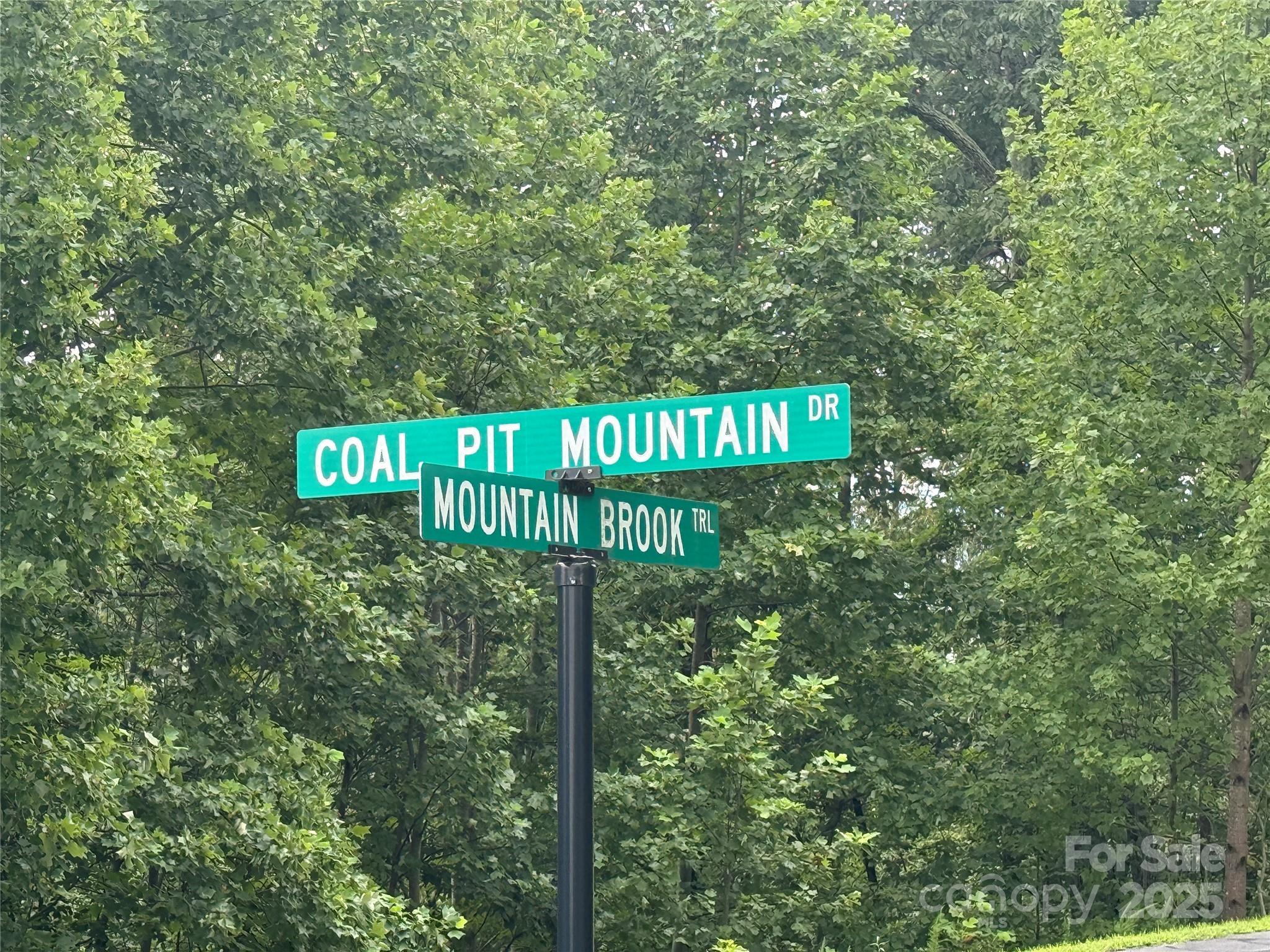 166 Coal Pit Mountain Drive 359