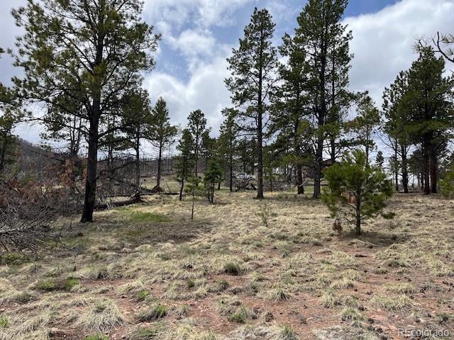 Lot 291 Dany Place