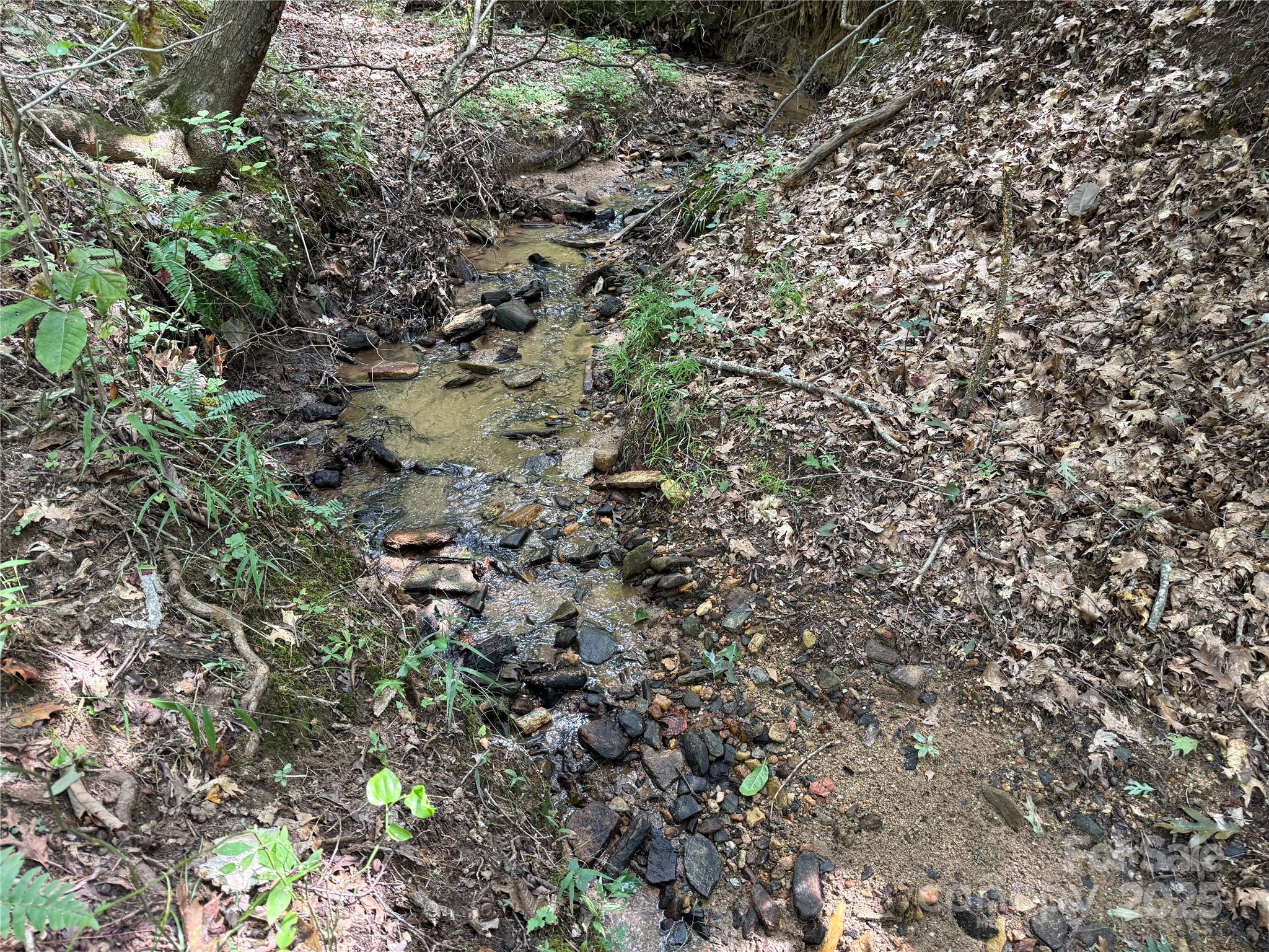 0 Mountain Brook Trail 298