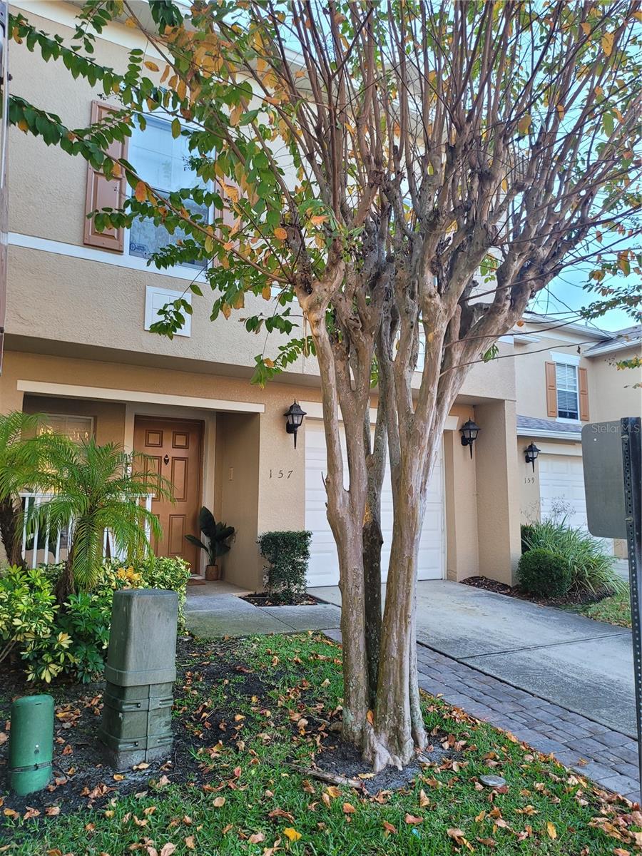 157 Sterling Springs Lane