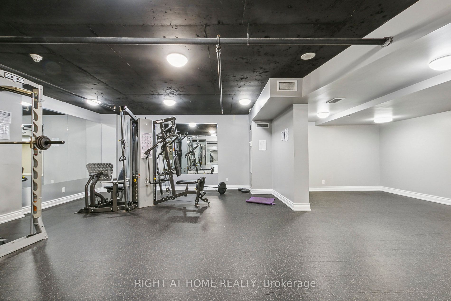 8 Rosebank Dr 17K