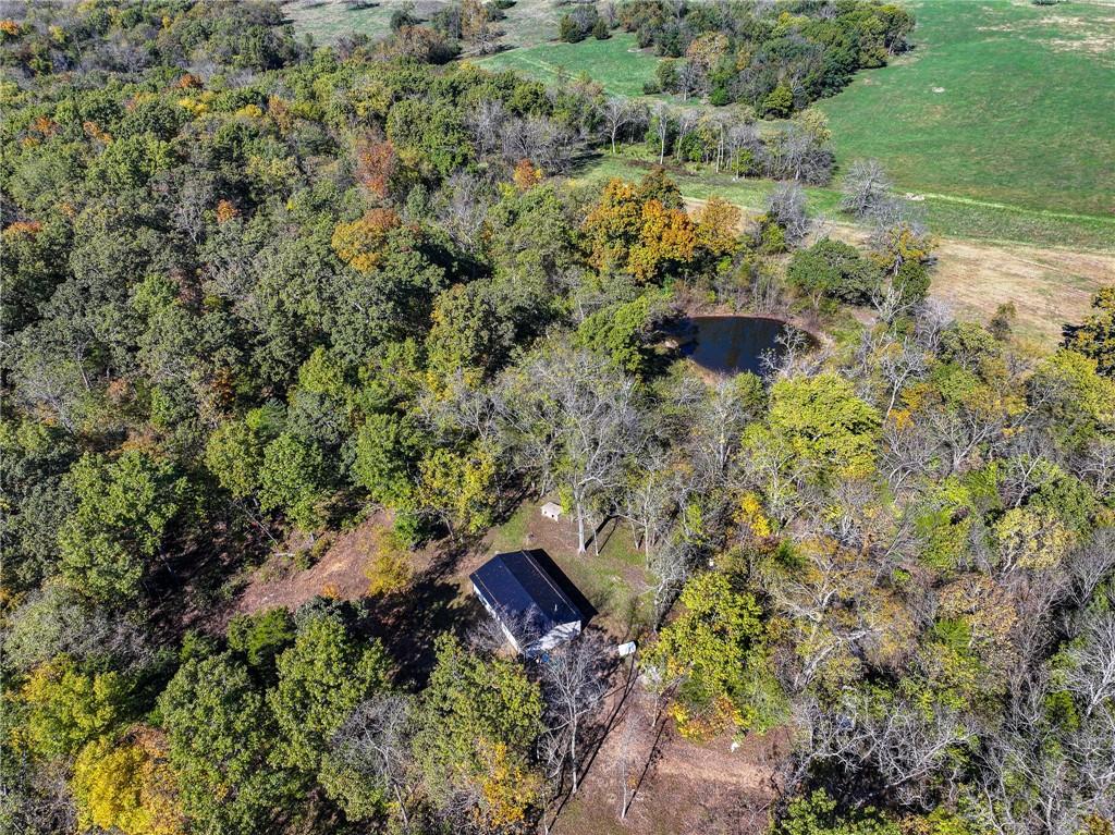 Discover this beautiful 80+\- acres located in Collins Missouri. The property holds mature timber and open pasture and established trails providing multiple opportunities for the new owner. Several perfect food plot locations, a pond, and wet weather creeks create perfect deer and turkey habitat. The trails throughout the property allow for great access no matter the wind. Tucked off the road is a 960 sq ft home built in 2022. It has 2 bed rooms and 1 bathroom. Designed to maximize space, this tiny home has an open floor plan, pocket doors and more. The home has wood heat, heated floors and is serviced by a private well and septic system. Needing a few more finishes, this home is ready to make it your own! Whether looking for a weekend getaway or a full-time home, or a great hunting cabin, this place is a perfect option. Home for sale Collins MO This home sits in the Osceola School district and taxes were approximately $680 in 2024. St. Clair County holds thousands of acres of public ground to explore, mushroom hunting, hiking, and more. Multiple boat ramps to Truman lake are near and only a short 30 minute drive to Pomme De Terre lake. Springfield and Kansas City are both a short 1.5 hour drive away.