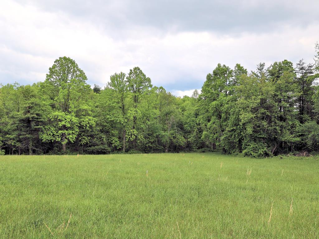 This great building lot located near the Blue Ridge Parkway and not far from downtown Floyd, has a mix of open and wooded land with mountain views and frontage on a paved VDOT Highway. There is a small stream at the rear of the property. This lot is ready for your dream home with a newly completed 3 bedroom perk test on file. Call with any questions or to schedule a showing today!