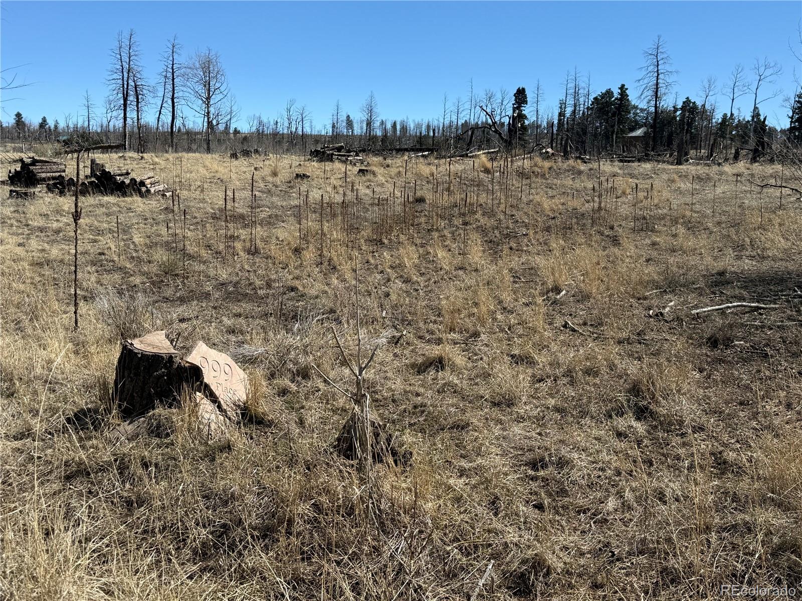 Lot 999 Foy Place