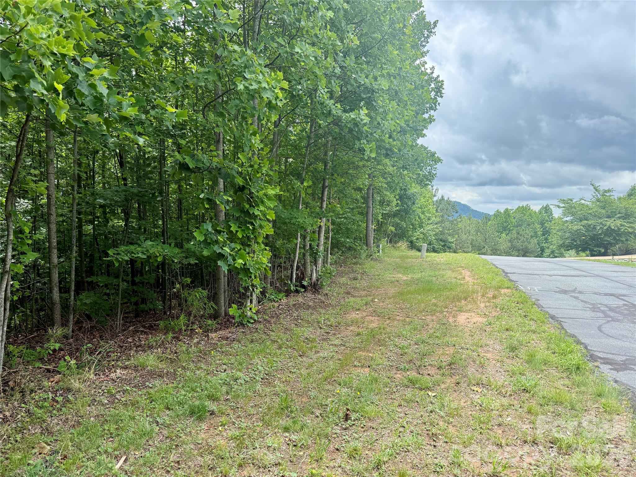V/L Scenic Vista Drive 248