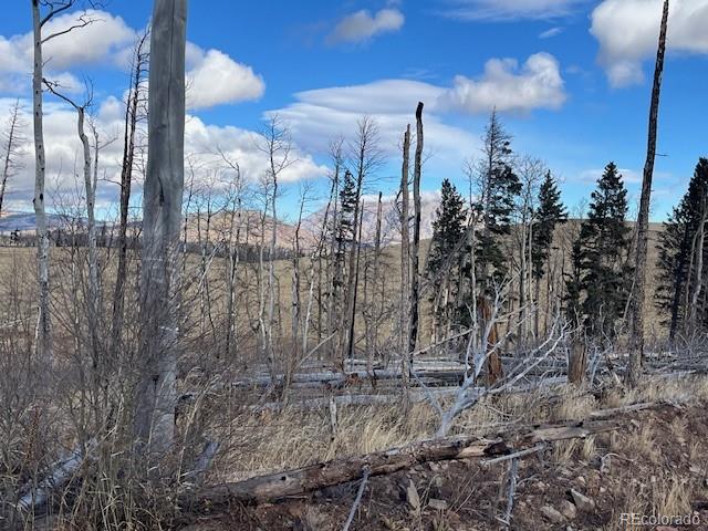 Lot 2397 Petito Drive