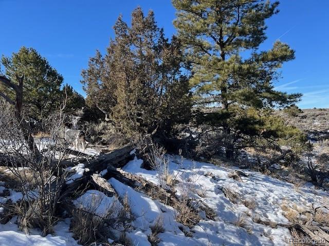Lot 4828 Spencer Road