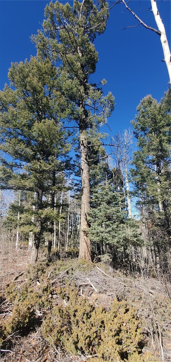 Lot 6060 Forbes Road